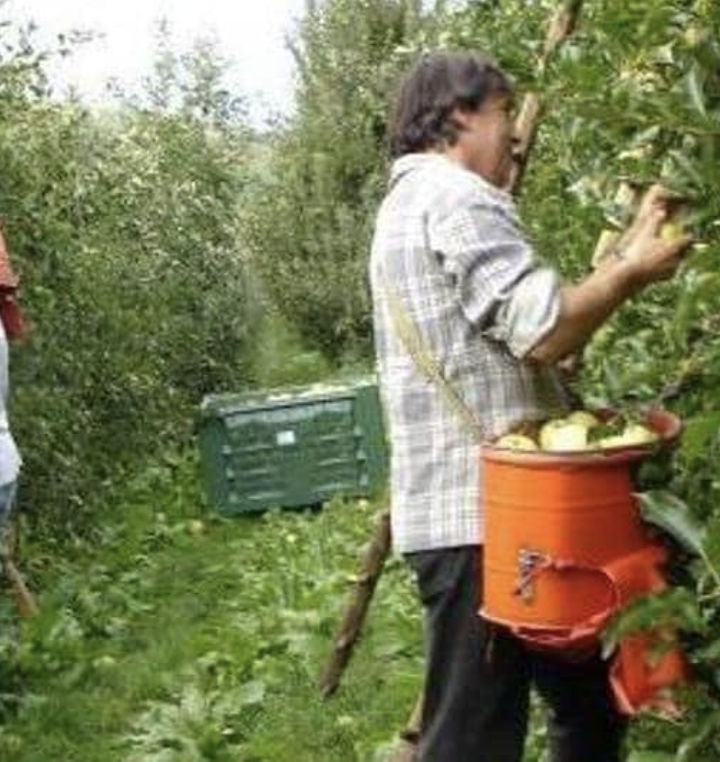 “L’agroalimentare non può fermarsi!”: Openjobmetis avvia una campagna di reclutamento straordinaria in tutta Italia ricercando 1000 persone